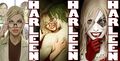 Thumbnail for version as of 12:05, 11 March 2023